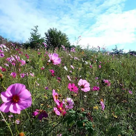 Les Glycines Gite - Beautiful,peaceful Location With Pool Holiday home