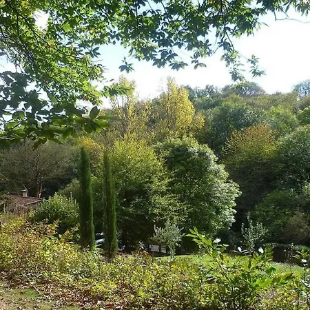 Holiday home Les Glycines Gite - Beautiful,peaceful Location With Pool