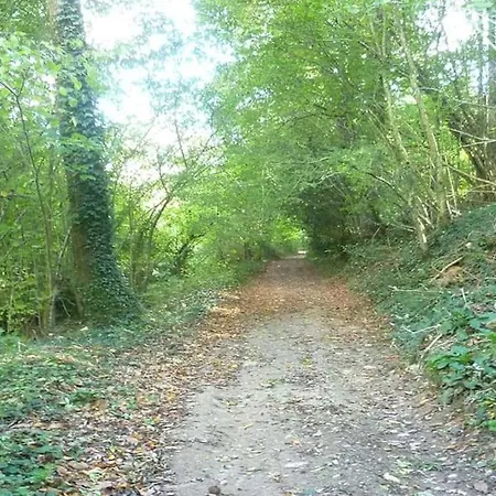 Les Glycines Gite - Beautiful,peaceful Location With Pool *