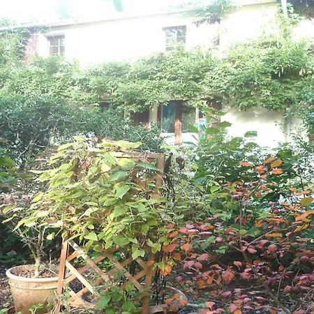 Les Glycines Gite - Beautiful,peaceful Location With Pool